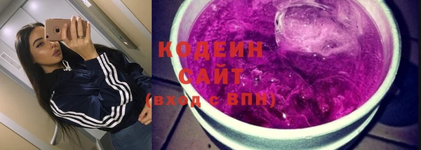 индика Балабаново