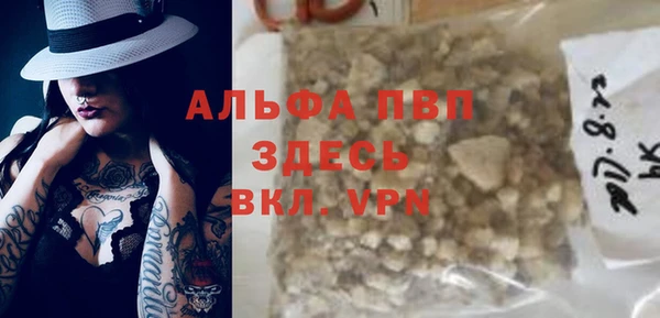 индика Балабаново
