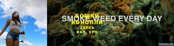 ГАЛЛЮЦИНОГЕННЫЕ ГРИБЫ Балахна