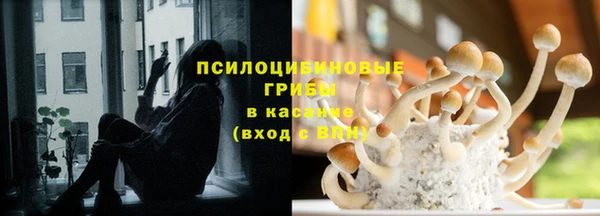стафф Ступино