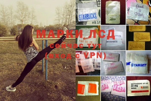 индика Балабаново