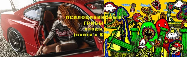 индика Балабаново