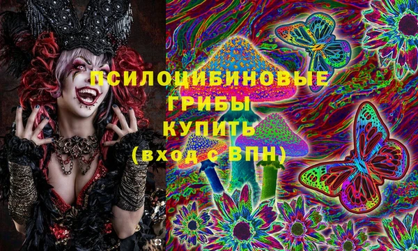 ГАЛЛЮЦИНОГЕННЫЕ ГРИБЫ Балахна