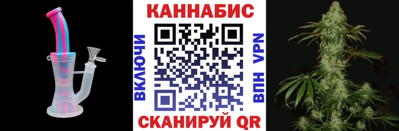 где найти   Кудрово  Бошки марихуана Amnesia 
